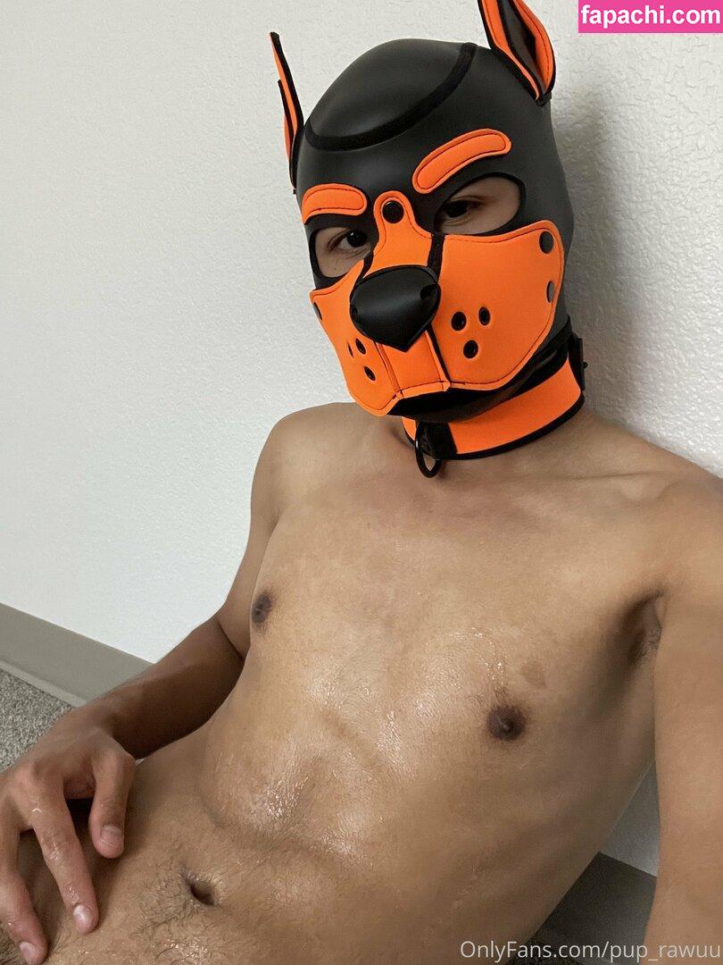pup_rawuu / pup.rawuu leaked nude photo #0001 from OnlyFans/Patreon