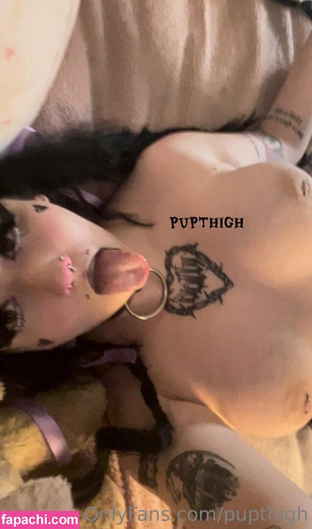 pupthigh / puphiggs leaked nude photo #0013 from OnlyFans/Patreon