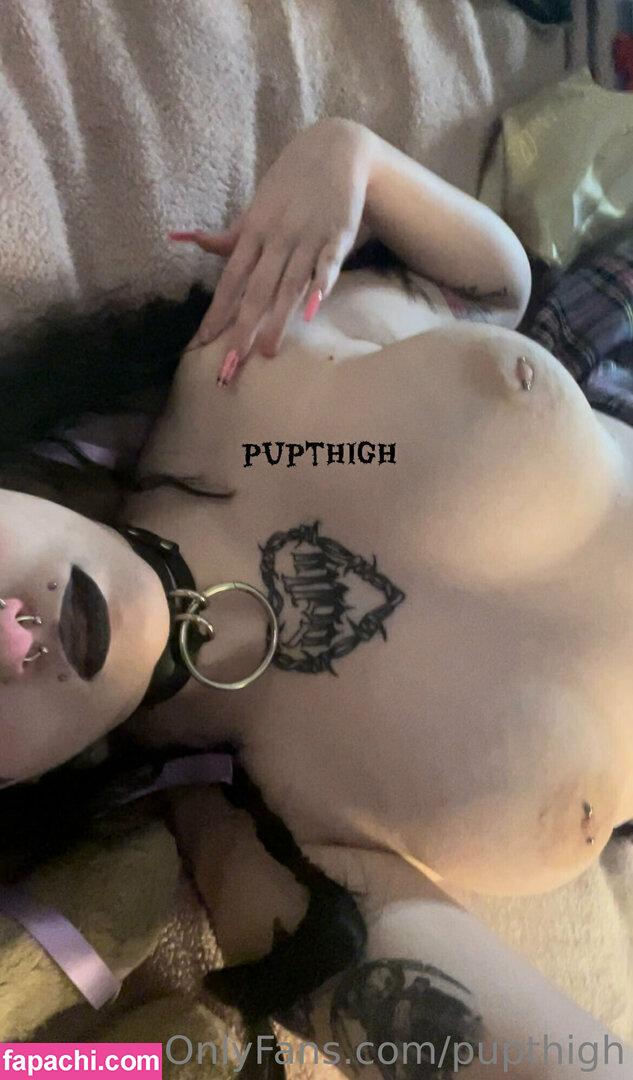 pupthigh / puphiggs leaked nude photo #0014 from OnlyFans/Patreon