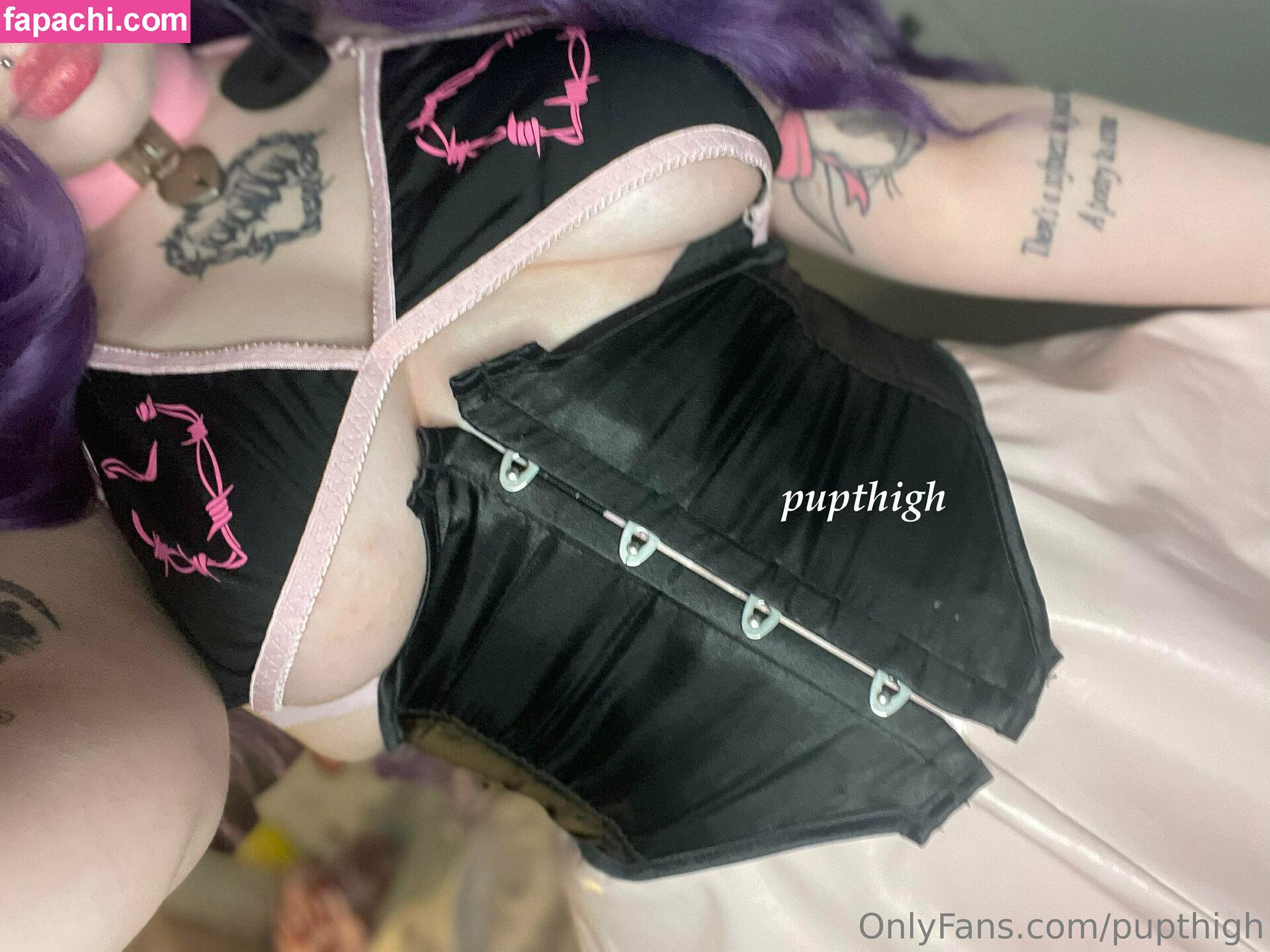 pupthigh / puphiggs leaked nude photo #0021 from OnlyFans/Patreon