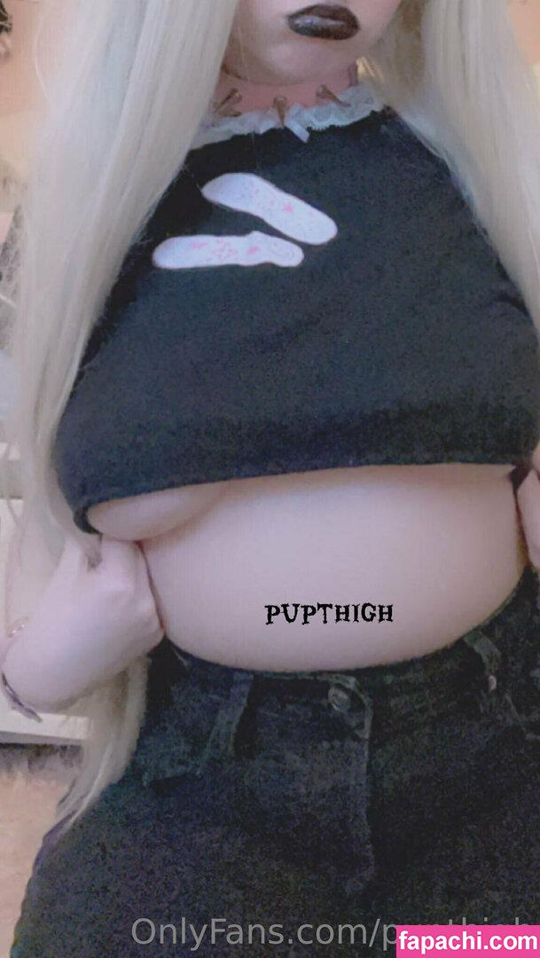 pupthigh / puphiggs leaked nude photo #0031 from OnlyFans/Patreon