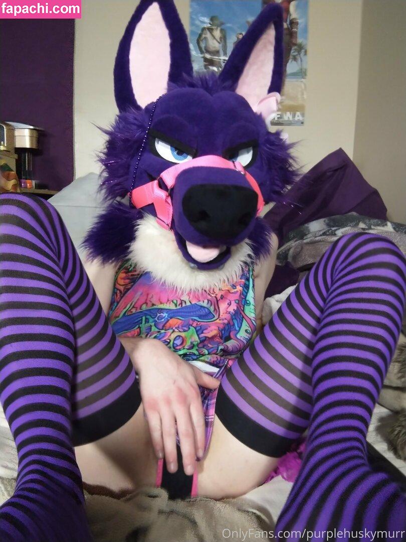 purplehuskymurr / purplehusky leaked nude photo #0025 from OnlyFans/Patreon