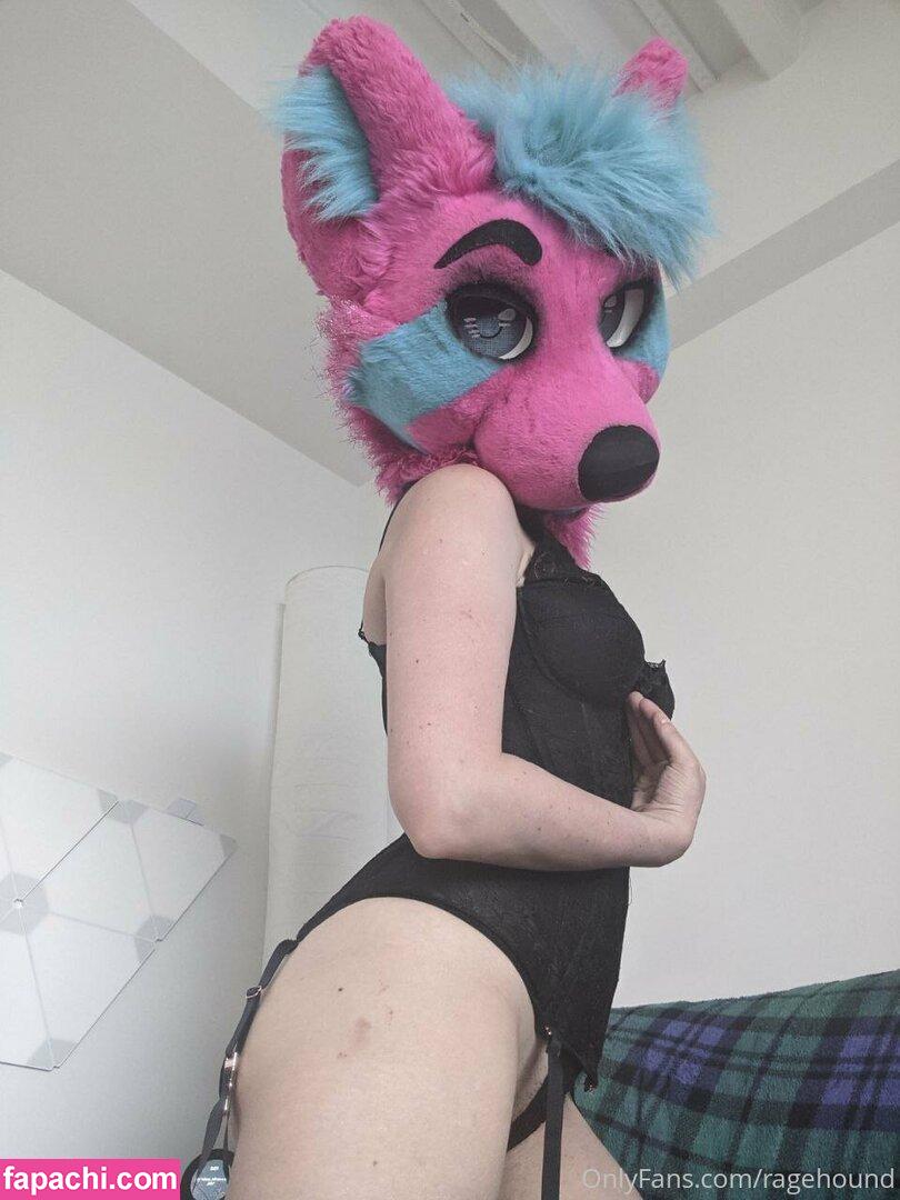 ragehound leaked nude photo #0063 from OnlyFans/Patreon