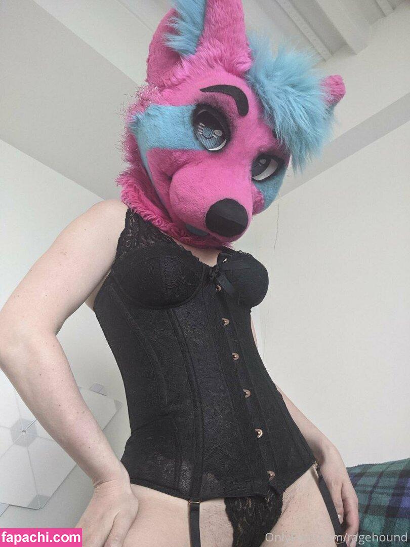 ragehound leaked nude photo #0066 from OnlyFans/Patreon