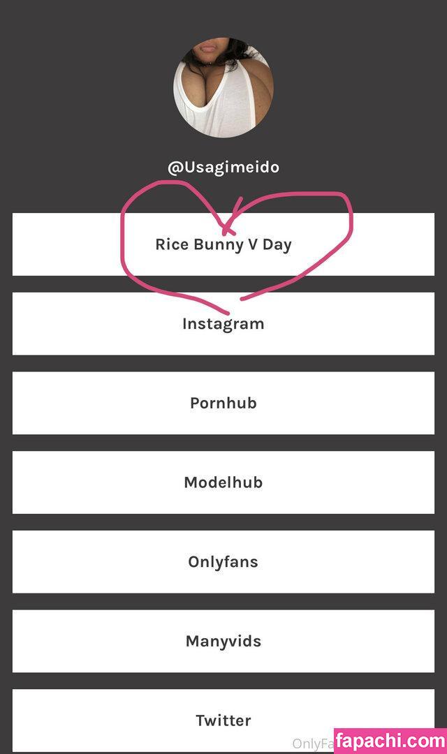 Ricebunny / Rice Bunny / ricebunny_666 / satansbussy666 leaked nude photo #0155 from OnlyFans/Patreon