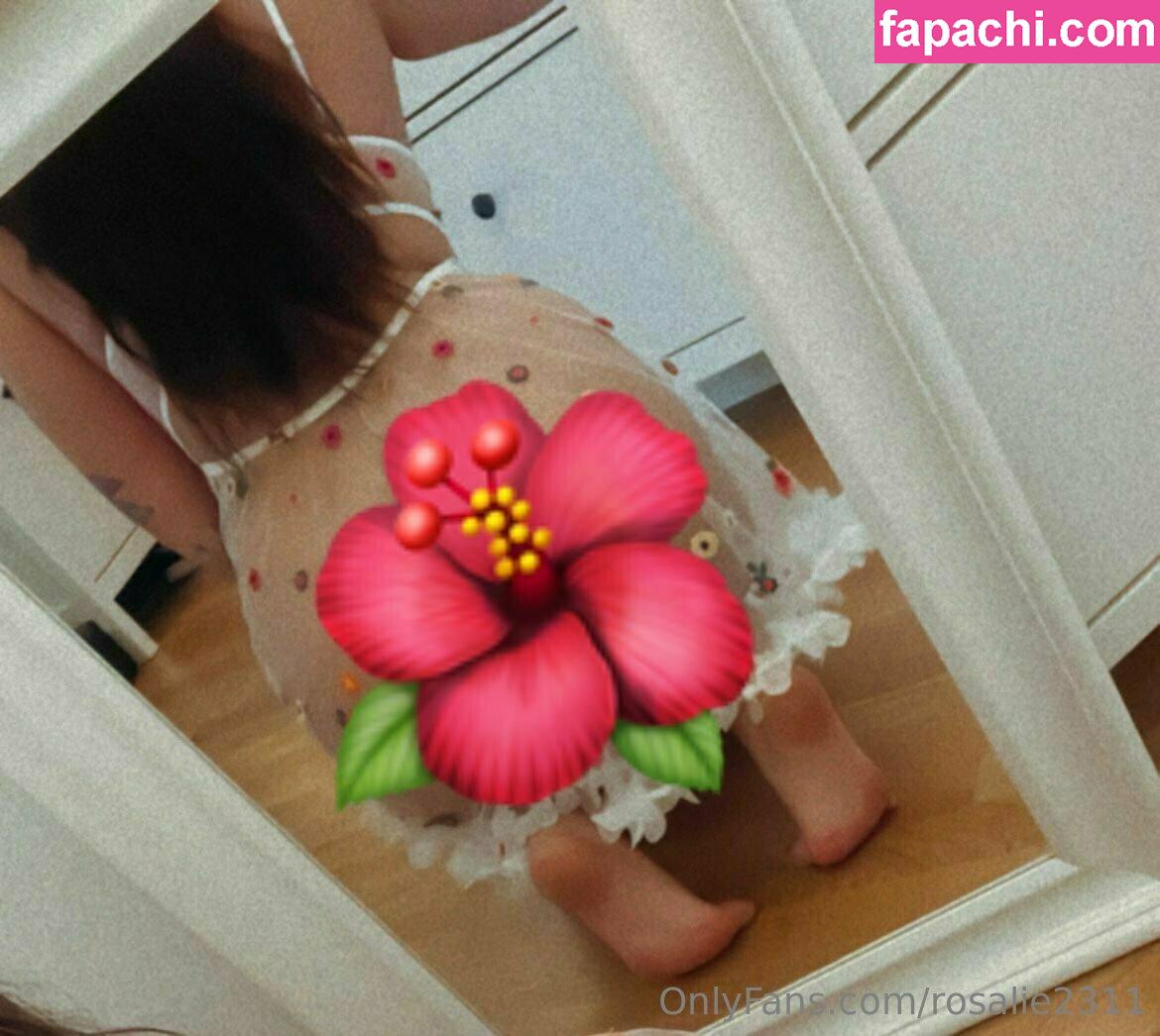 rosalie2311 / pacatangrosalie23 leaked nude photo #0053 from OnlyFans/Patreon