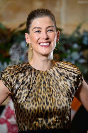 Rosamund Pike leaked media #0139