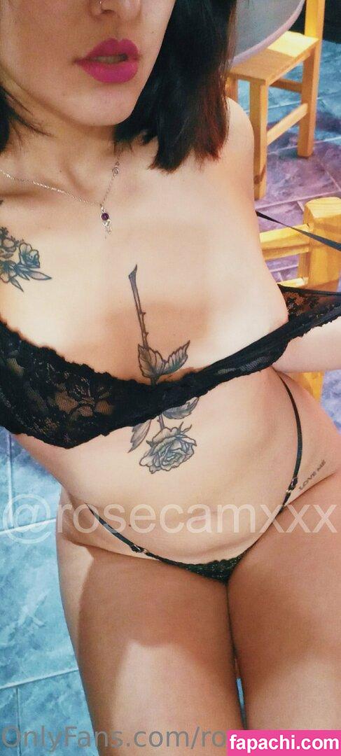 rosecamxxx / rose_x_x_x_ leaked nude photo #0054 from OnlyFans/Patreon