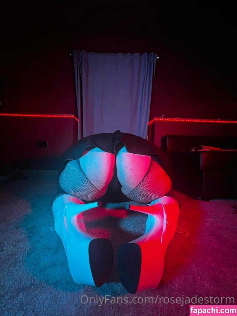 rosejadestorm / rosemadejatorres leaked nude photo #0074 from OnlyFans/Patreon