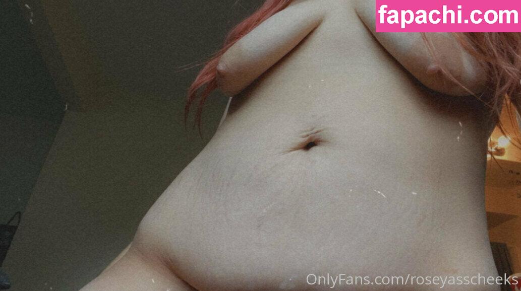 roseyasscheeks / roseyasscheeks_ leaked nude photo #0082 from OnlyFans/Patreon