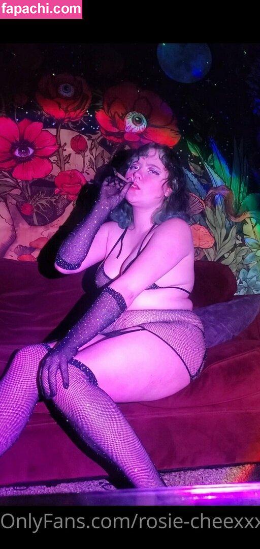 rosie-cheexxx / rosiecheeksnyc leaked nude photo #0012 from OnlyFans/Patreon
