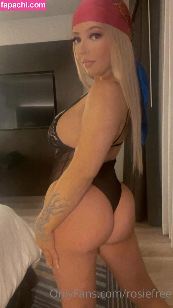 rosiefree leaked nude photo #0019 from OnlyFans/Patreon
