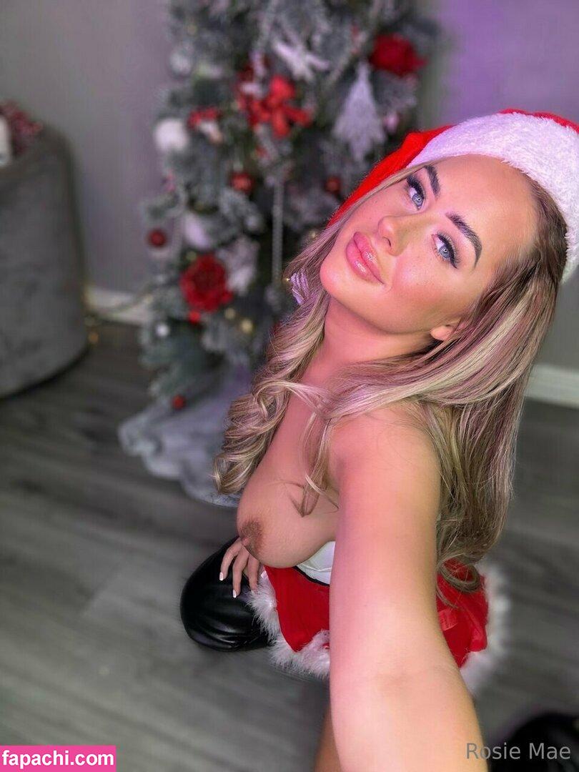 Rosierendallx / rosie_rendallx leaked nude photo #0066 from OnlyFans/Patreon