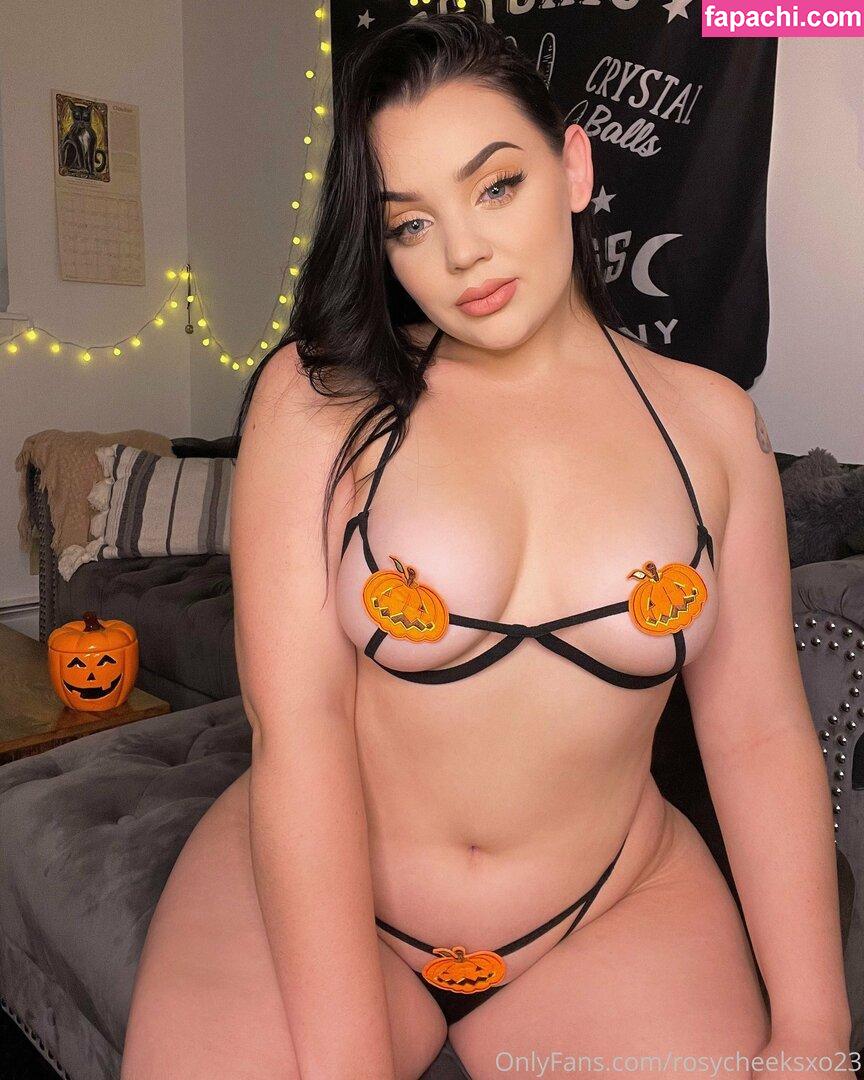 Rosycheeksxo23 / rosycheeksxo23_ leaked nude photo #0166 from OnlyFans/Patreon