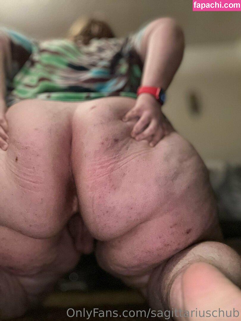 sagittariuschub / sagittariusbby_ leaked nude photo #0023 from OnlyFans/Patreon