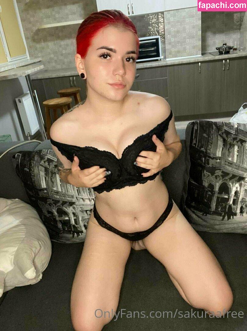 sakuraafree / sakurashymko leaked nude photo #0037 from OnlyFans/Patreon