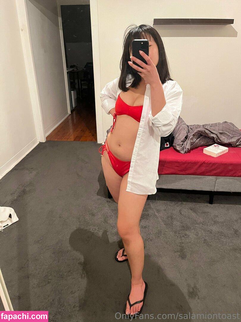 salamiontoast / Free_Indication_1044 / Laura / breakthe.fast leaked nude photo #0030 from OnlyFans/Patreon