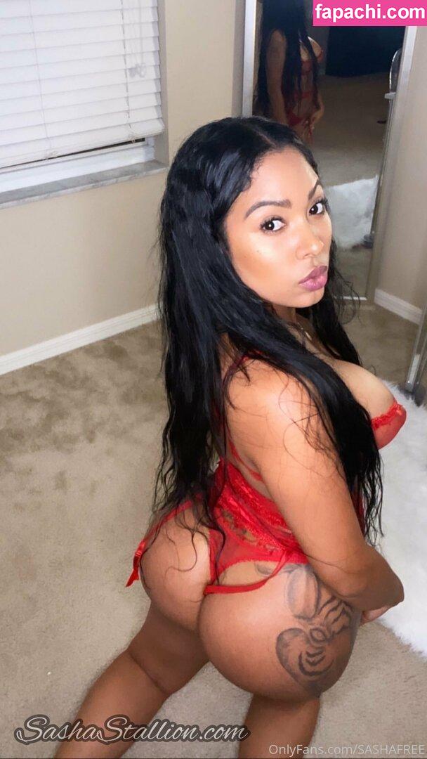 sashasfree / sashafreemind leaked nude photo #0046 from OnlyFans/Patreon