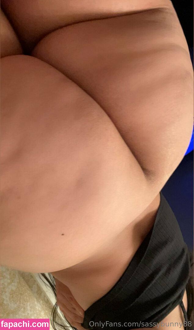 sassybunny88 / SassyBunny8 / Sassy_Bunnyy / sassy_mm88 leaked nude photo #0305 from OnlyFans/Patreon