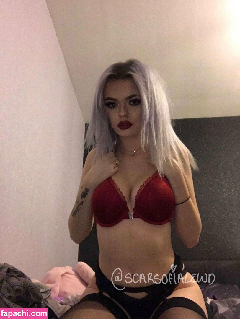 scarsofialewd / scar_wolfo_ leaked nude photo #0065 from OnlyFans/Patreon