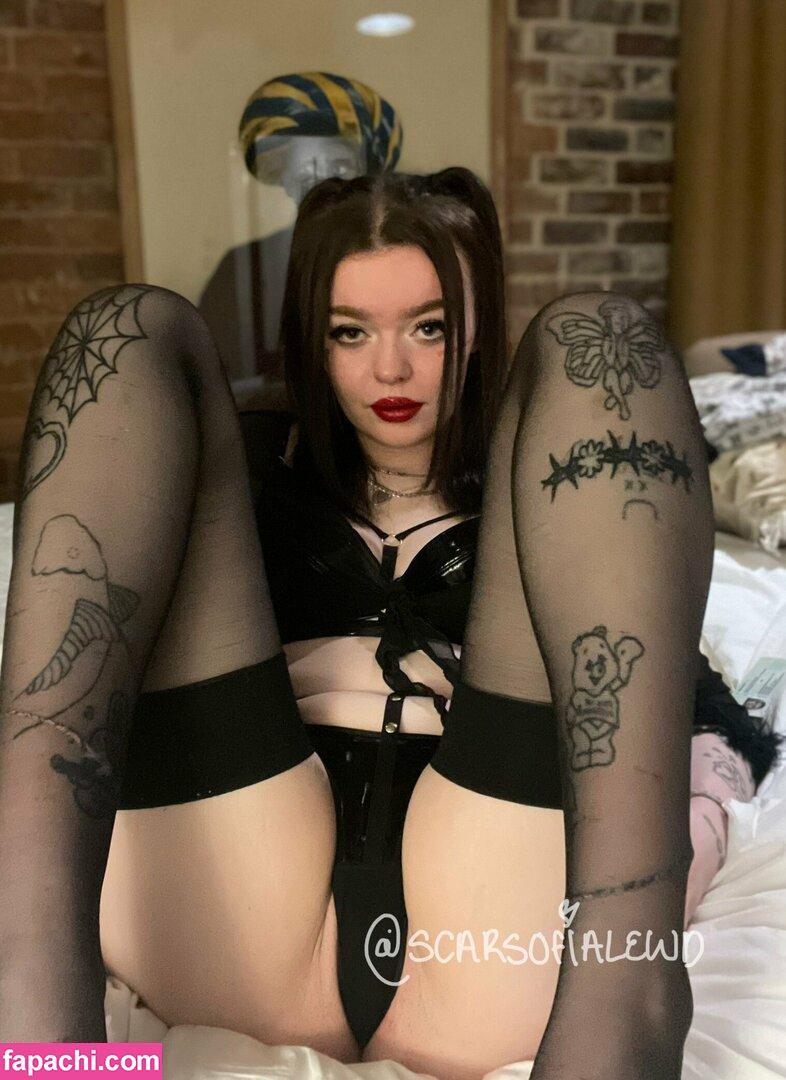 scarsofialewd / scar_wolfo_ leaked nude photo #0093 from OnlyFans/Patreon