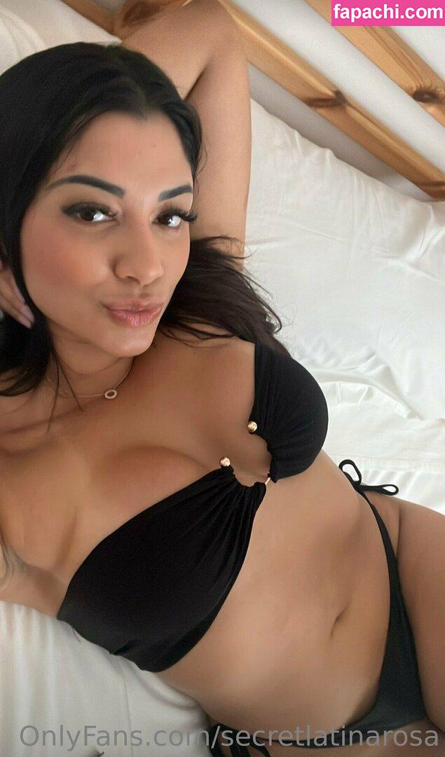 secretlatinarosa / onlyfangirl111 leaked nude photo #0007 from OnlyFans/Patreon