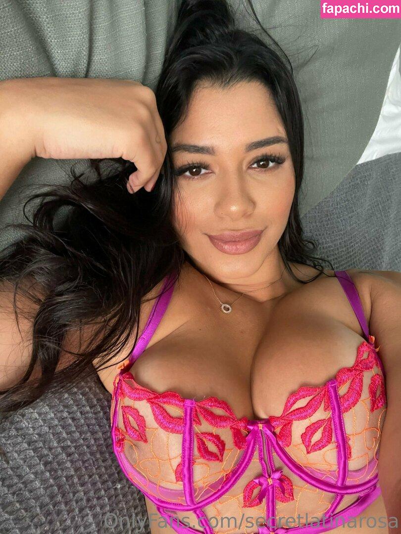 secretlatinarosa / onlyfangirl111 leaked nude photo #0063 from OnlyFans/Patreon