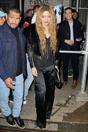 Shakira leaked media #0484
