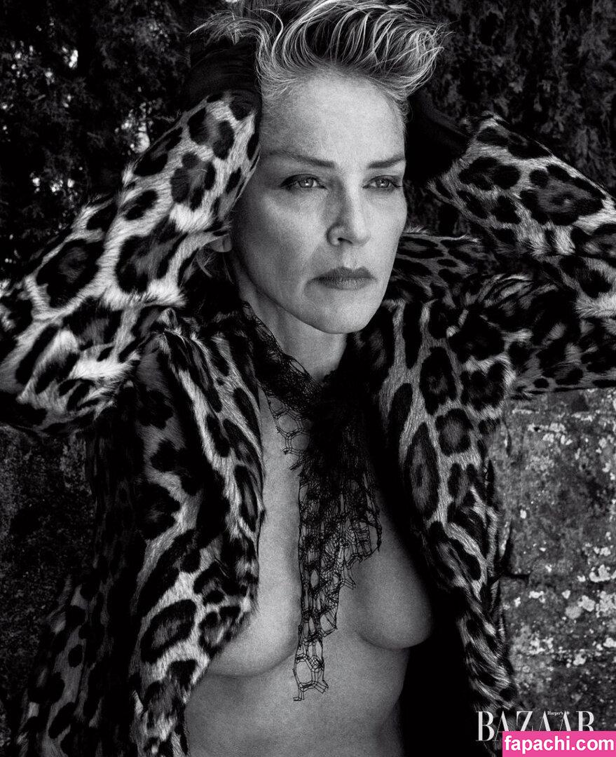 Sharon Stone / 160762733 / search / sharonstone leaked nude photo #0403 from OnlyFans/Patreon