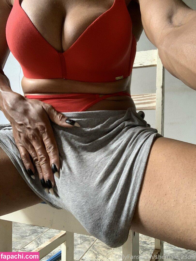 shemale_23cm / sheml_ee leaked nude photo #0001 from OnlyFans/Patreon