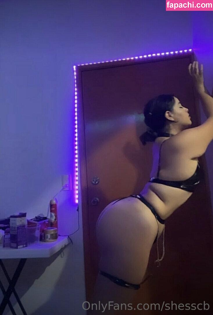 Shesscb / sheccidcastillobenitez leaked nude photo #0003 from OnlyFans/Patreon