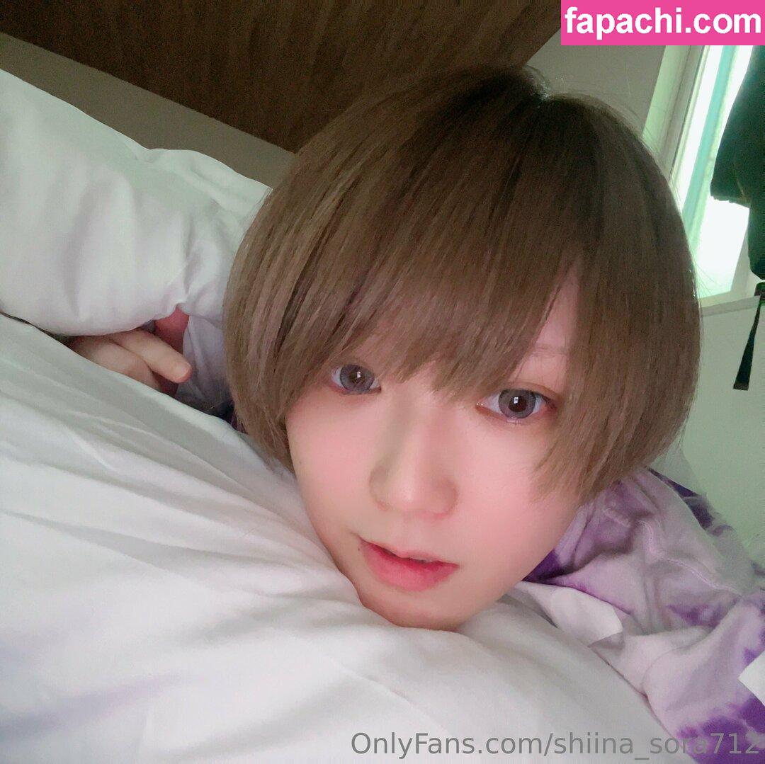 shiina_sora712 leaked nude photo #0011 from OnlyFans/Patreon
