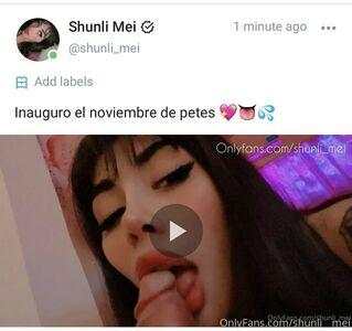 shunli__mei leaked media #0116