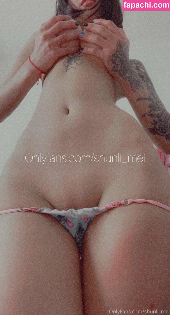 Shunli Mei / meishunli / shunli__mei / shunlimei leaked nude photo #0165 from OnlyFans/Patreon