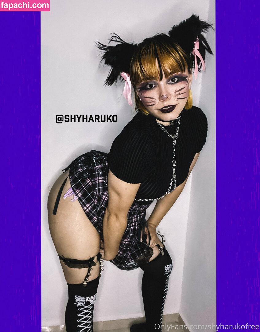 shyharukofree leaked nude photo #0035 from OnlyFans/Patreon