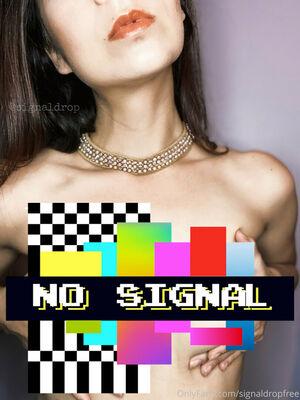 signaldropfree leaked media #0024
