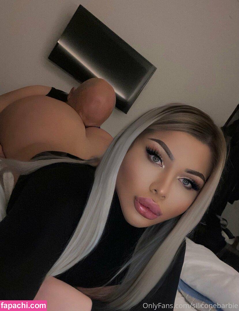 siliconebarbie / DreamDollxox leaked nude photo #0054 from OnlyFans/Patreon