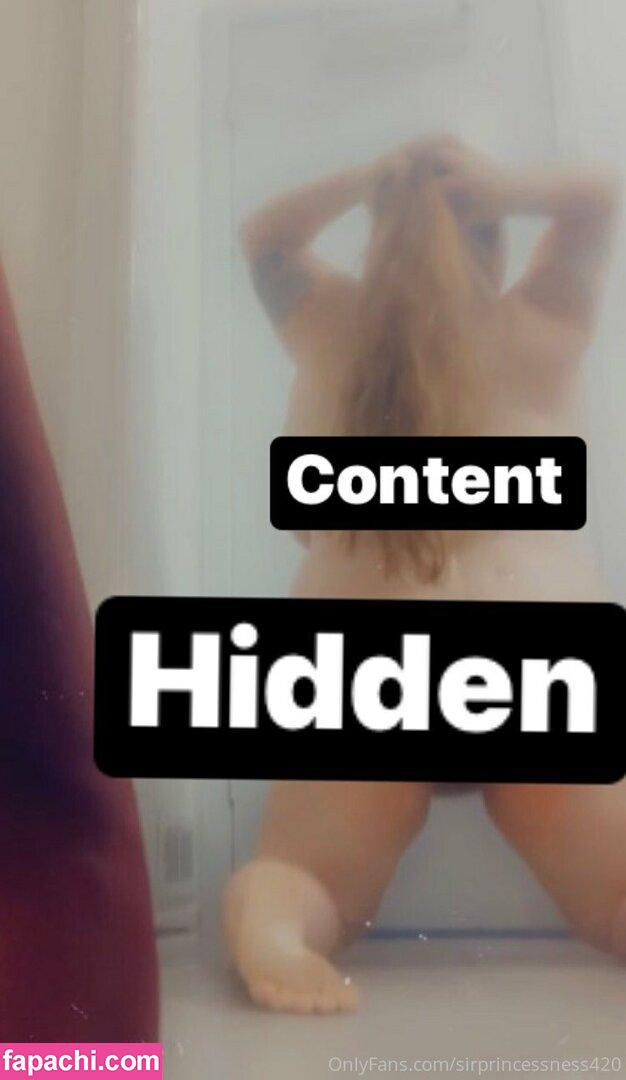 sirprincessness420 leaked nude photo #0115 from OnlyFans/Patreon