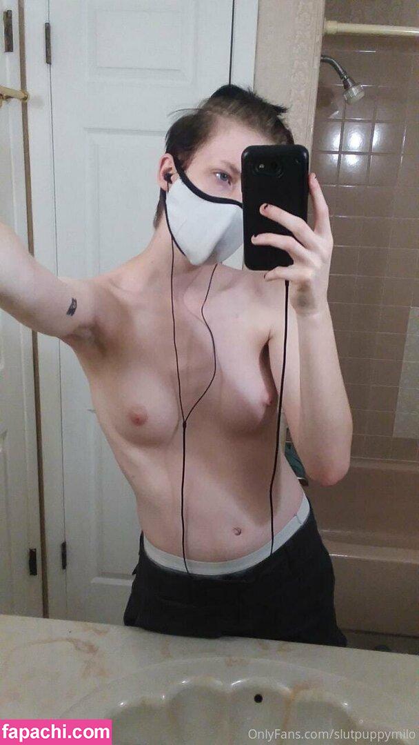 slutpuppymilo leaked nude photo #0062 from OnlyFans/Patreon