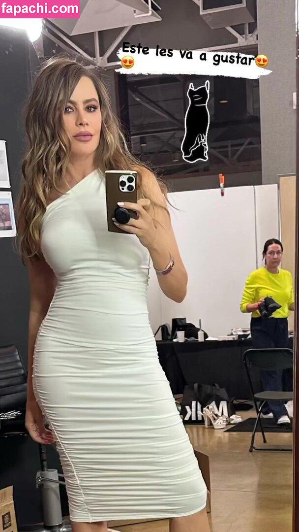 Sofia Vergara / sofiavergara / vergarasofia leaked nude photo #0410 from OnlyFans/Patreon