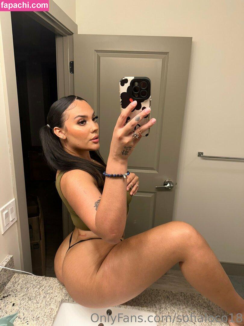 sofialoco18 / sofyloco leaked nude photo #0176 from OnlyFans/Patreon