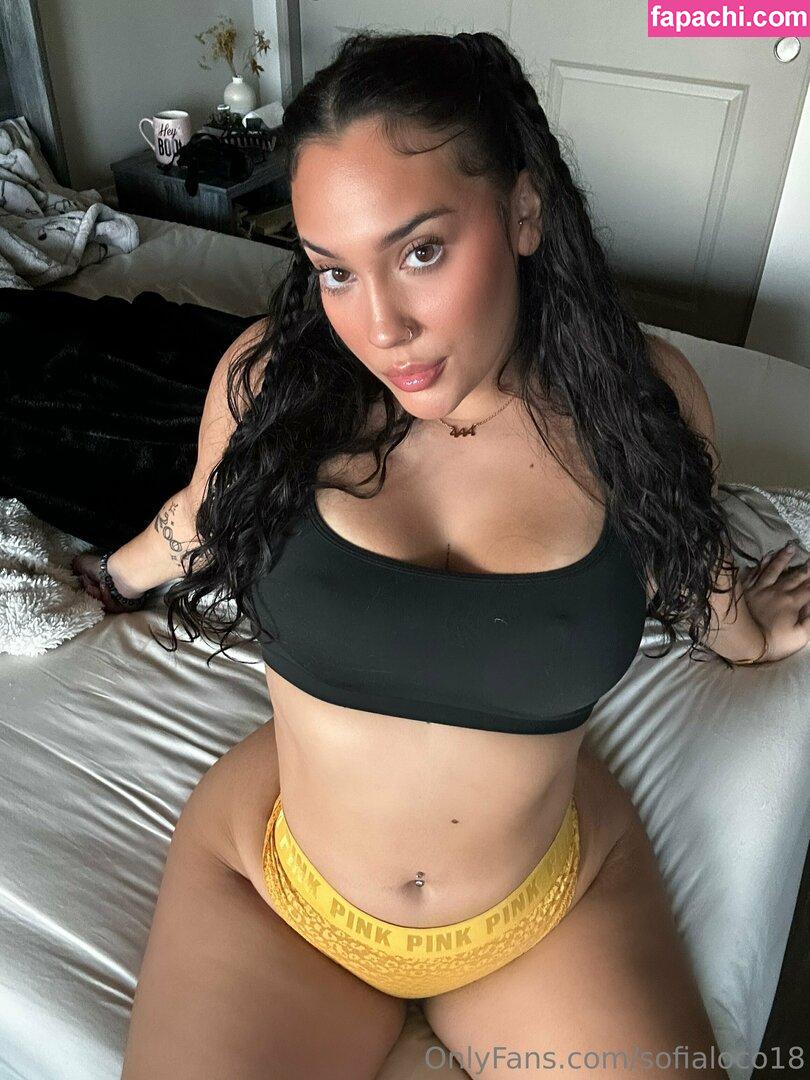 sofialoco18 / sofyloco leaked nude photo #0225 from OnlyFans/Patreon