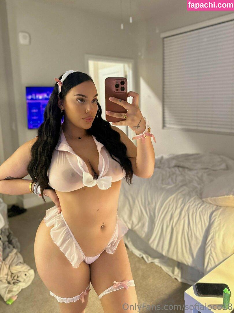 sofialoco18 / sofyloco leaked nude photo #0253 from OnlyFans/Patreon