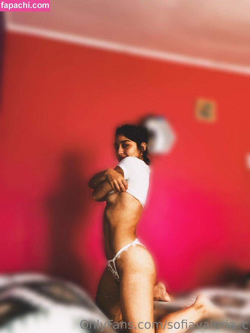 sofiavaleria_c leaked nude photo #0011 from OnlyFans/Patreon