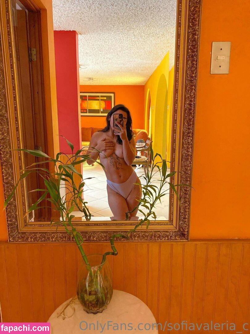 sofiavaleria_c leaked nude photo #0071 from OnlyFans/Patreon