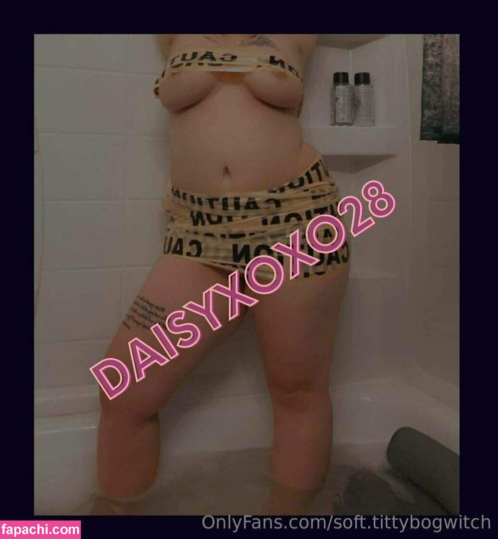 soft.tittybogwitch leaked nude photo #0052 from OnlyFans/Patreon