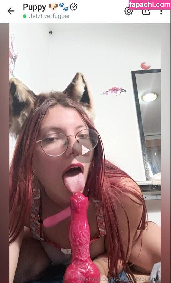 softbrattypuppy / softbrattypuppys leaked nude photo #0035 from OnlyFans/Patreon