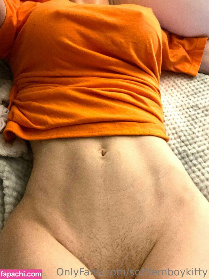 softfemboykitty / myfriendsmademebuyit leaked nude photo #0068 from OnlyFans/Patreon