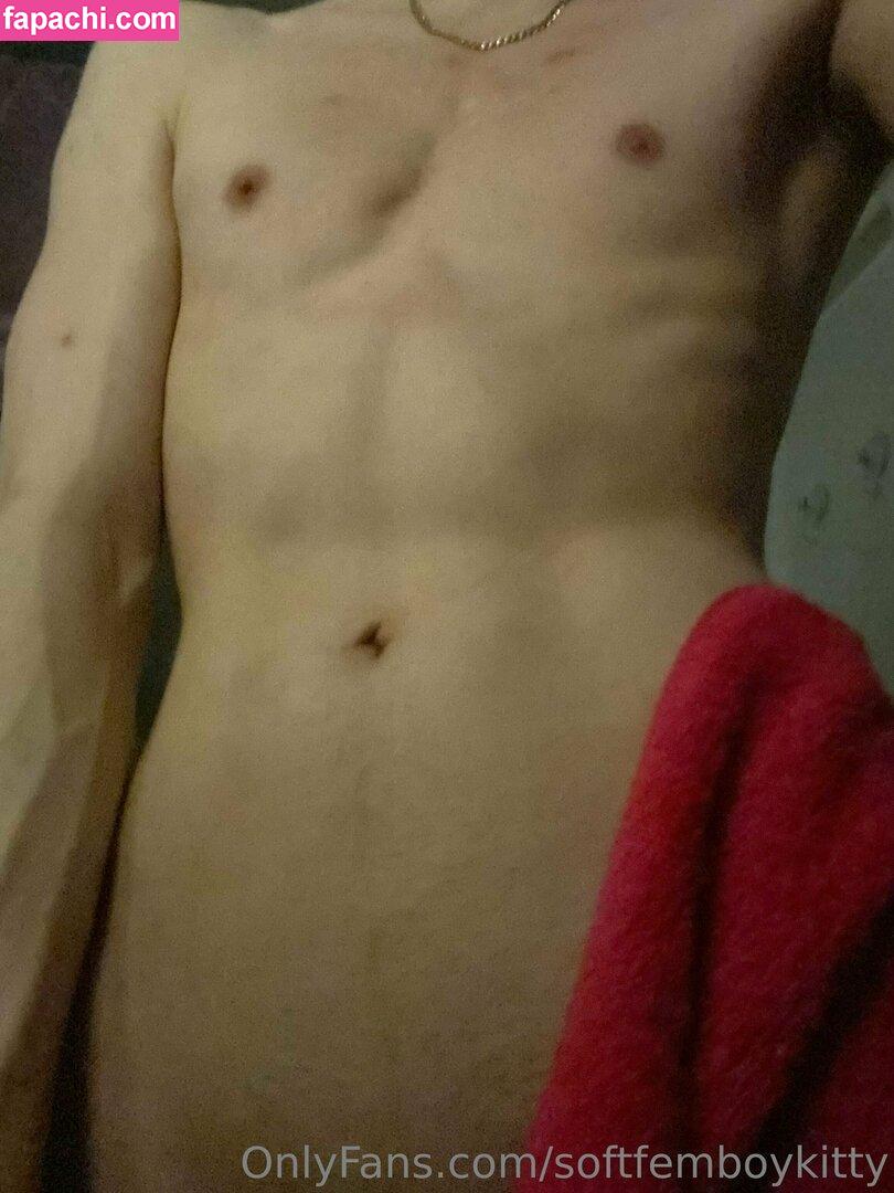 softfemboykitty / myfriendsmademebuyit leaked nude photo #0098 from OnlyFans/Patreon