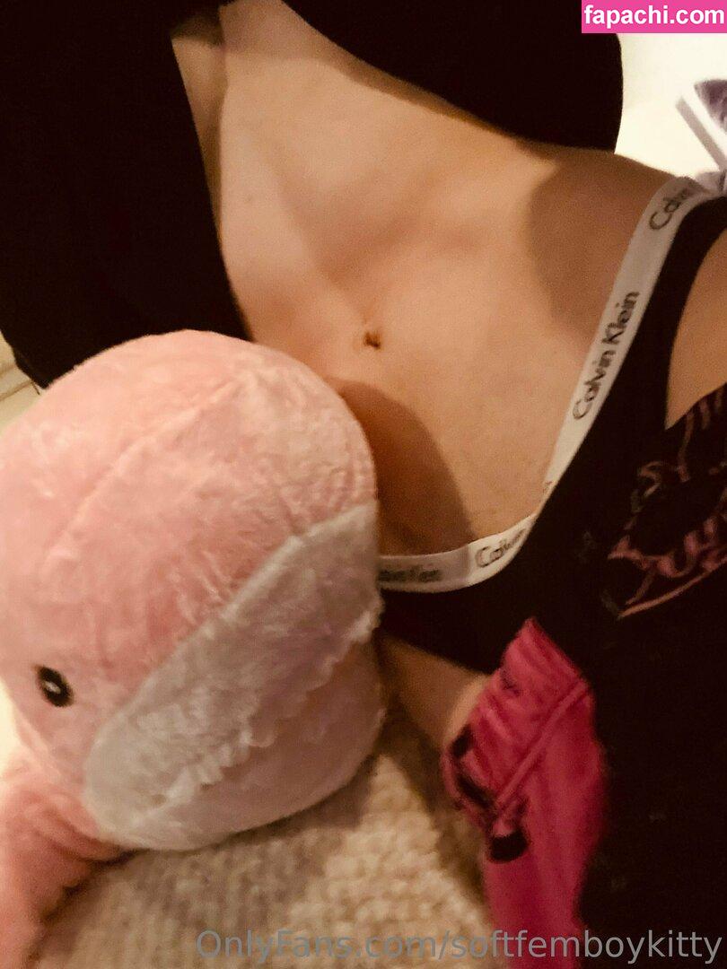 softfemboykitty / myfriendsmademebuyit leaked nude photo #0104 from OnlyFans/Patreon